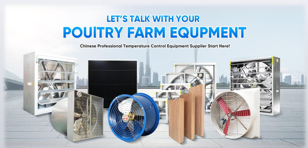 Shandong Xingmuyuan Agriculture and Animal Husbandry Technology Co.,ltd linea di produzione del fabbricante